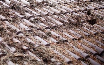 Walkergate roof cleaning companies