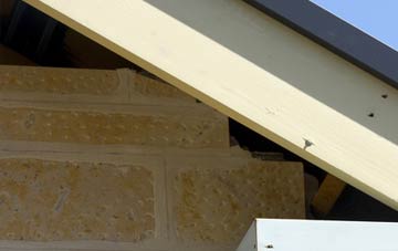 soffit repair Walkergate