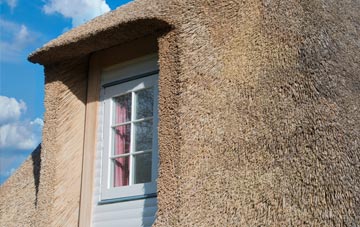 Walkergate thatch roof disadvantages